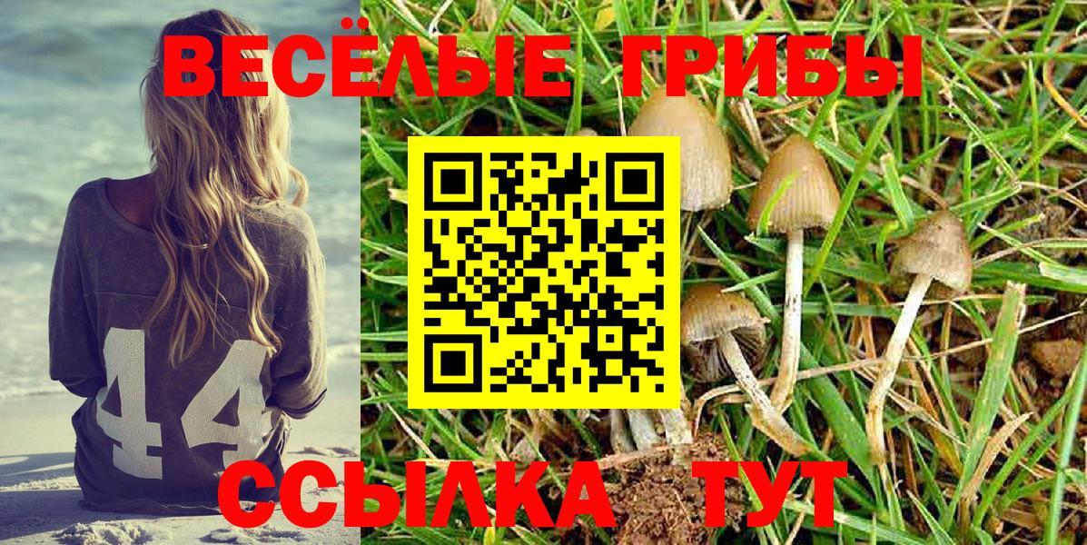 Канск  Псилоцибиновые грибы Psilocybe  Вход с VPN 