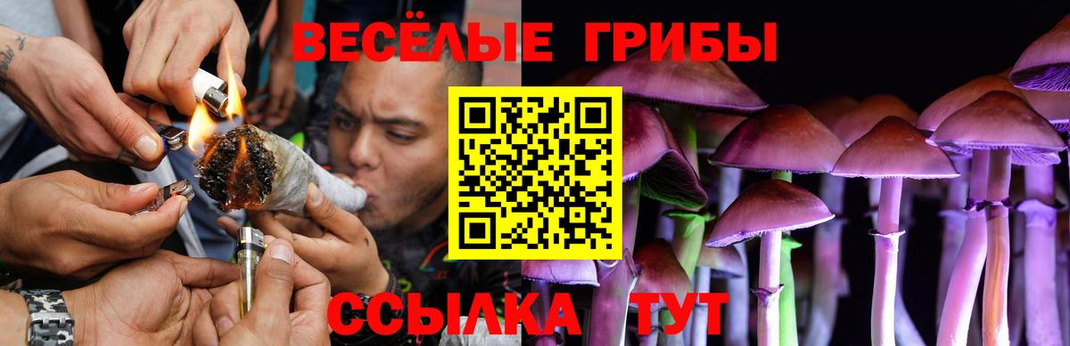 Галлюциногенные грибы прущие грибы Канск